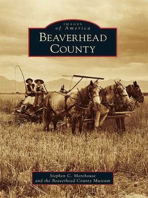 cover image of Beaverhead County